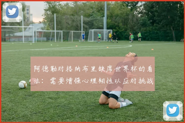 阿德勒对格纳布里缺席世界杯的看法：需要增强心理韧性以应对挑战